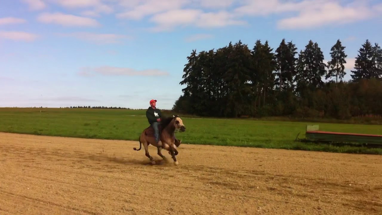 Fridaynightinhollywood Torsten Gärtner YouTube