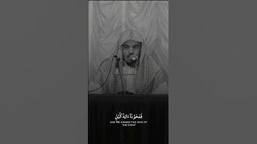 ويدع الإنسان بالشر دعآءه بالخير - القارئ : ياسر الدوسري
