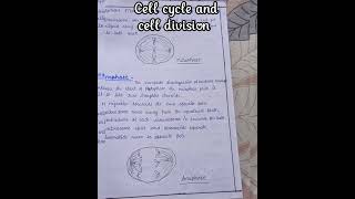 cell cycle and cell division Assignment #bscnursing #medical #medico ✨