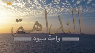 النداهة | كانت مجرد زيارة لمكان سياحي اسمه 