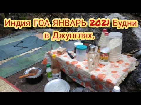 Индия #ГОА Джунгли Арамболь Будни сегодня. Январь 2021