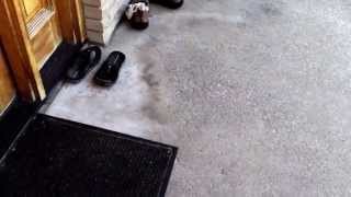 Board snap fail