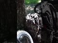 The Gear I Use Out In Field | Bigfoot Adventures #bigfoot