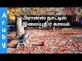 Autumn Vlog in France  |   பிரான்ஸ் நாட்டில் இலையுதிர் காலம்