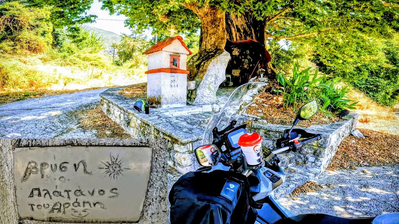 «Αυτός είναι ένας από τους ιστορικότερους πλατάνους της Ελλάδας (ο Πλάτανος του Αράπη) στη Σέλιανη.»