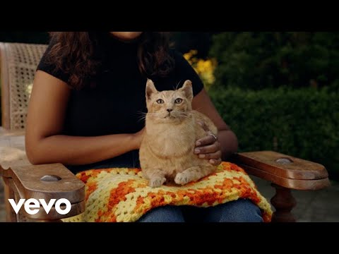Peach Pit - Psychics in LA (Official Video)