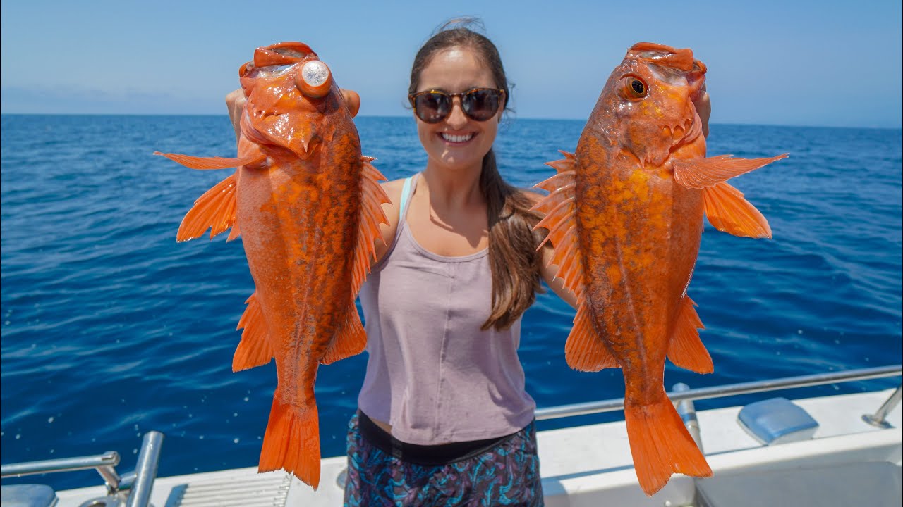 ROCKFISH from the DEEP! Fishing in California! Catch, Clean