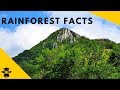 Tropical rainforest facts