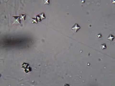 how to make calcium carbonate crystals