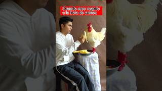 Cuando eres rogado para comer #gallos #gallinas #LinoElGalloConBotas #funnyshorts