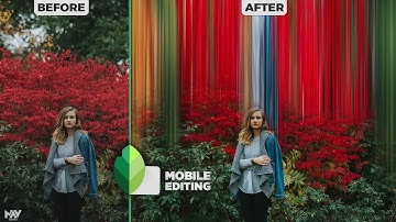 Extract COLORS from an Image For a Unique Effect on Mobile | SNAPSEED TUTORIAL | Android | iPhone