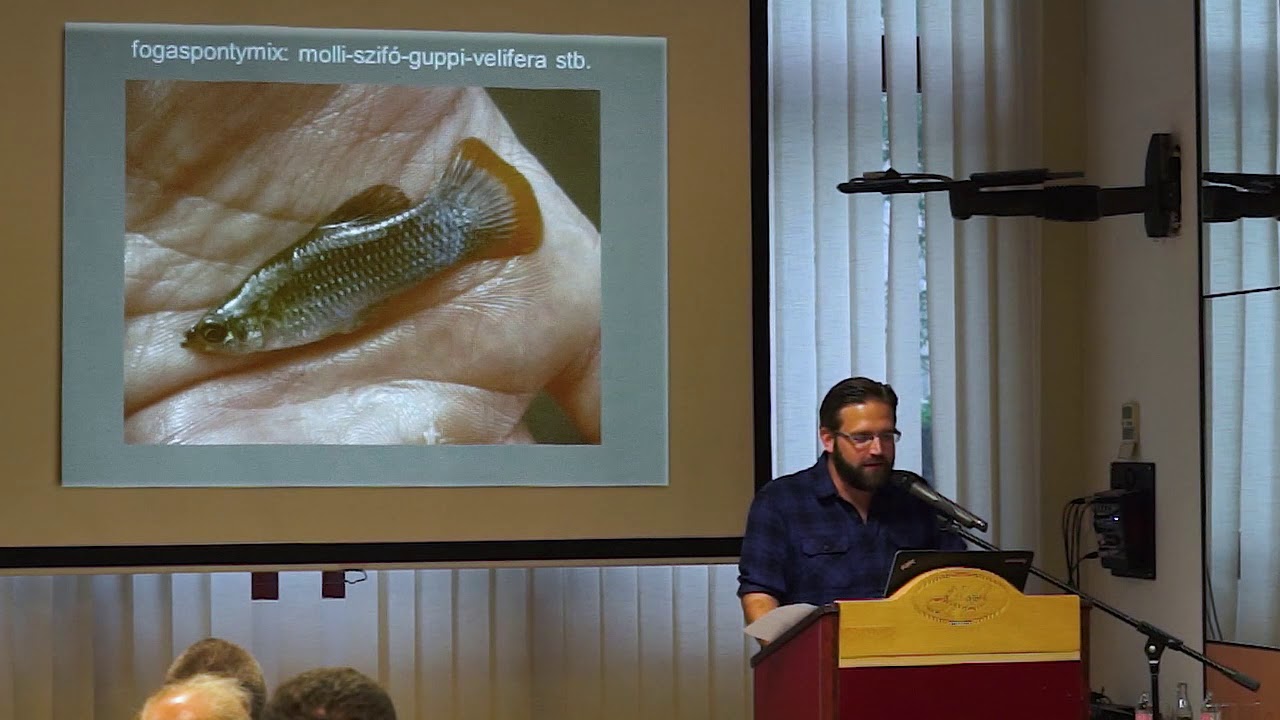 2018.05.10. - Szendőfi Balázs előadása