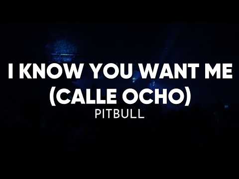 Pitbull - I Know You Want Me (Calle Ocho) (Lyrics)