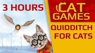 CAT GAMES  3 HOURS Quidditch for Cats! (VIDEOS FOR CATS TO WATCH) 4K 60FPS