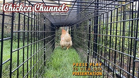 Chicken Chunnel Product Video3