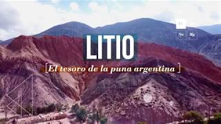 LITIO, tesoro de la puna argentina