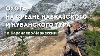 Охота на Средне-Кавказского и Кубанского тура в Карачаево-Черкессии