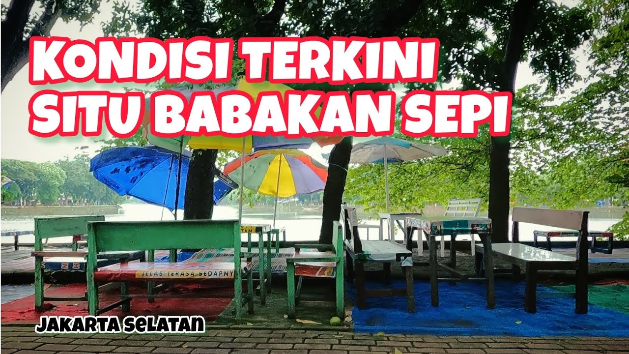 Kondisi situ babakan sekarang