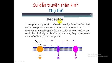 Bài Giảng Hóa Dược 2 : THUỐC TÁC ĐỘNG LÊN HỆ TK THỰC VẬT -GV THẦY SƠN
