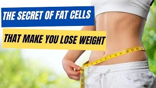 Fat Cells - The Secret of Fat Cells that Make You Lose Weight