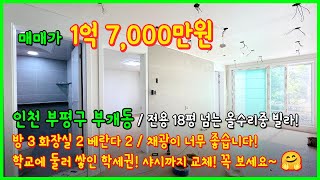 [인천빌라매매](4-249) 전용 18평 넘는 올수리중인 빌라! 채광이 너무 좋아요~ 부개3동쪽으로 7호선 굴포천역도 이용가능해요~ 인천 부평구 부개동 [부개동빌라]