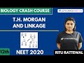 T. H. Morgan And Linkage | Biology Crash Course | Class 12th | NEET Biology