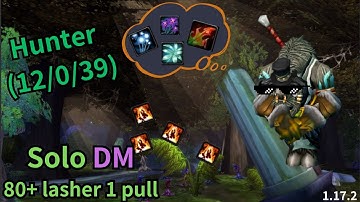 Turtle WoW - lv60 Hunter solo DME all lashers 1pull.