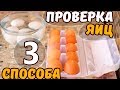 КАК ПРОВЕРИТЬ ЯЙЦА НА СВЕЖЕСТЬ. 3 способа как проверить яйца