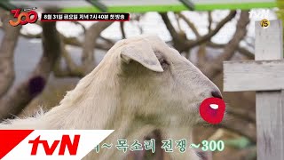 threehundred 하나의~목소리~전쟁~300!! 180830 EP.1