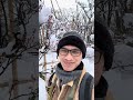 Mùa xuân đến hoa mơ hoa mận nở #lamkhanhtrinhofficial #cuocsongnhatban