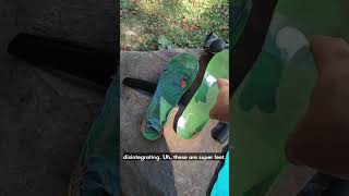 Loyalsock Trail Day 2 #backpacking #adventure #nature #outdoors