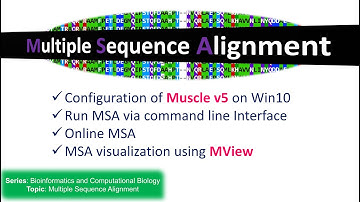 Multiple Sequence Alignment using Muscle | Bioinformatics practicum live demo