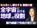 地球が宇宙パラレルワールド全体を進化させる！創造主は神ではない！腸内細菌セロトニンで性格が変わる！吉濱ツトム スピリチュアル