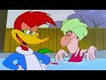 Woody The Healer Woody Woodpecker