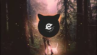 PhoenixZ & EXABiOS - Don't Worry