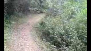 La Tigra Honduras hiking through the cloud forest Alexander