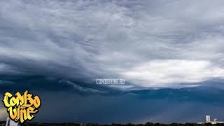 Combo vine #2025