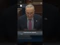Schumer Condemns Trump’s Response To Plane Collision
