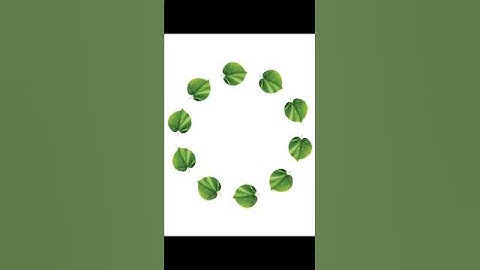 Tips - How To Adjust Object on path In Adobe Illustator 2025 #logo_academy