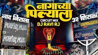 Nagachya Pilyala Dj Song | Circuit Mix | Kalulach Pani Kashala Dhavlil Dj | DJ Ravi RJ
