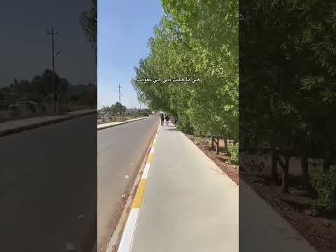 الإنسان يرث الكرامة بالفطرة أما الإهانة يصنعها بنفسه