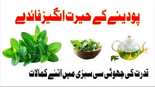 Mint benefits in Urdu | Mint leaves benefits and uses in Urdu\Hindi 2021| پودینے کے حیرت انگیز فائدے