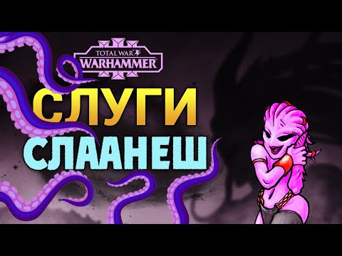 Видео: Слуги Слаанеша (Total War Warhammer 3) | Лор (Бэк) Вархаммер - (армия и демоны Хаоса)