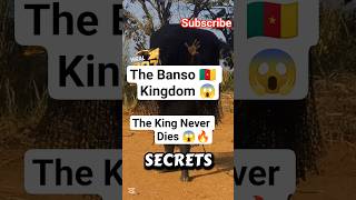 Africas Eternal Kingdom Why The Nso Fon Never Diesshorts