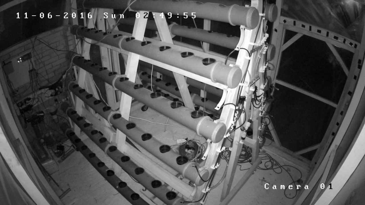 bubblestack Live Stream