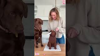 Download Lagu Phillies land All-Star closer Jhoan Duran ahead of MLB trade deadline 👀🔥 MP3