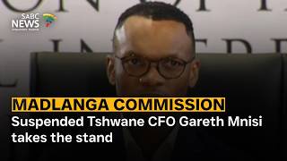 Madlanga Commission Suspended Tshwane Cfo Gareth Mnisi Takes The Stand