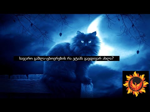 საჯარო გაშლა-ცხოვრების რა ეტაპს გავდივარ ახლა? (Nevilis Tarologia)