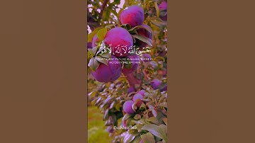 سورة التوبة القارئ #ماهر_المعيقلي #فلسطين#السعودية#الجزائر#المغرب#مصر#تونس#ليبيا#موريتانيا#اكسبلور