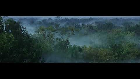 Realistic Rainforest UE5